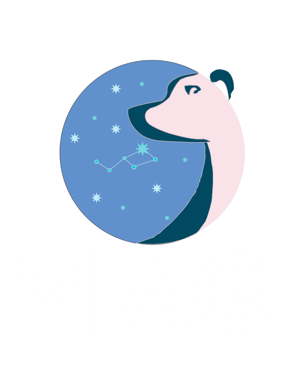 Social Network Tic Desarrollo mag